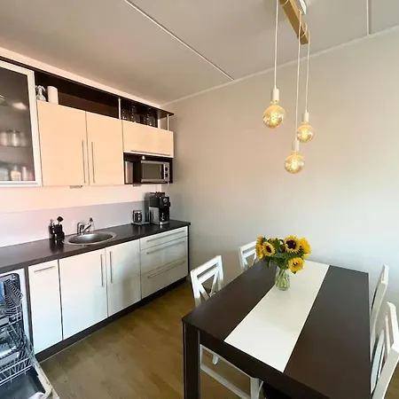 Spacious Close To Center-lauluvaljak Apartment
