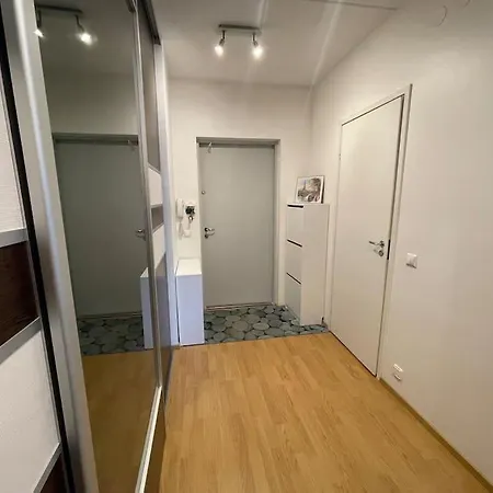 Apartment Spacious Close To Center-lauluvaljak