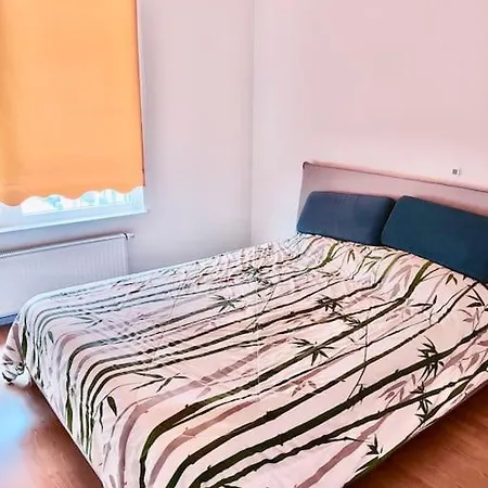 Spacious Close To Center-lauluvaljak Apartment